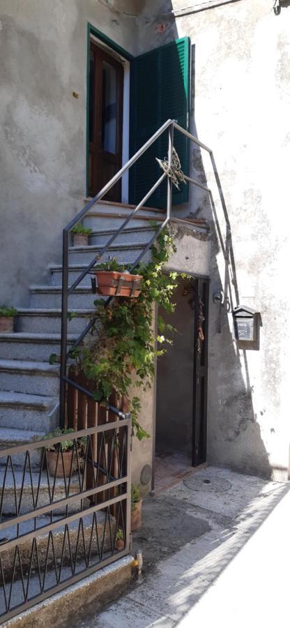 Nicolas House Campiglia dʼOrcia Exteriör bild
